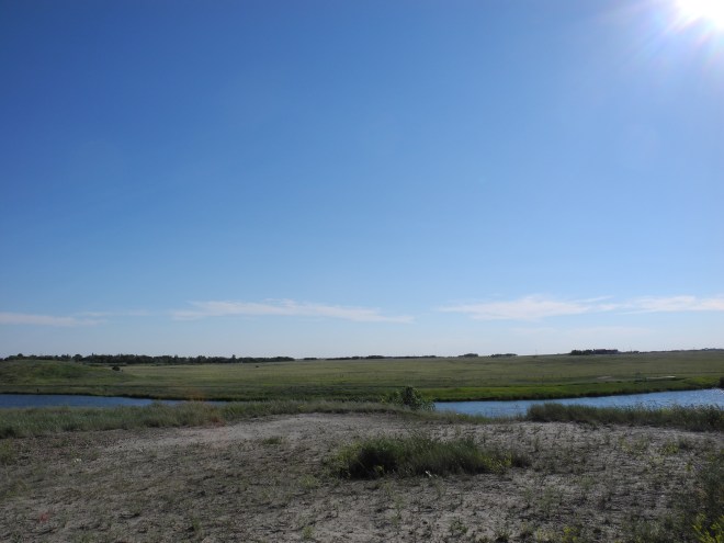 Alberta, June '15 (167)