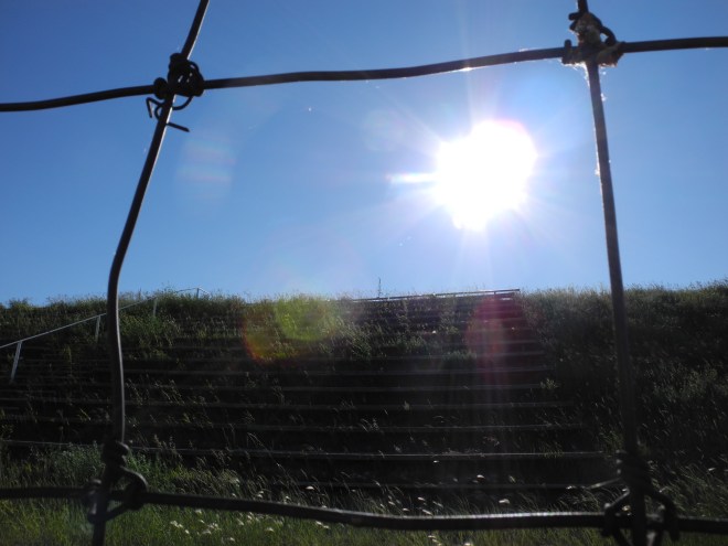 Alberta, June '15 (175)