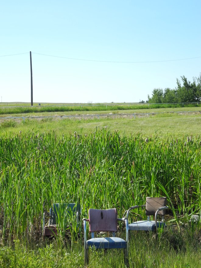 Alberta, June '15 (183)