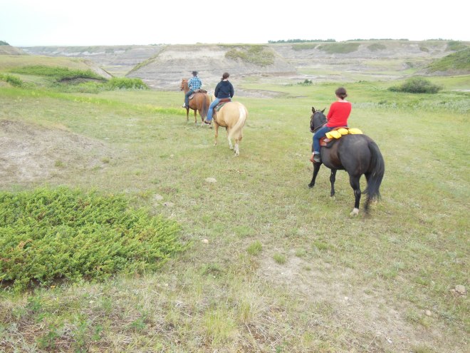 Alberta, June '15 (34)