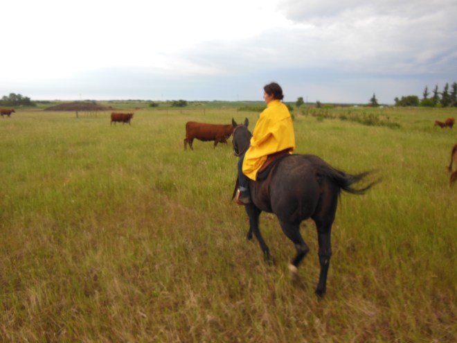 Alberta, June '15 (65)