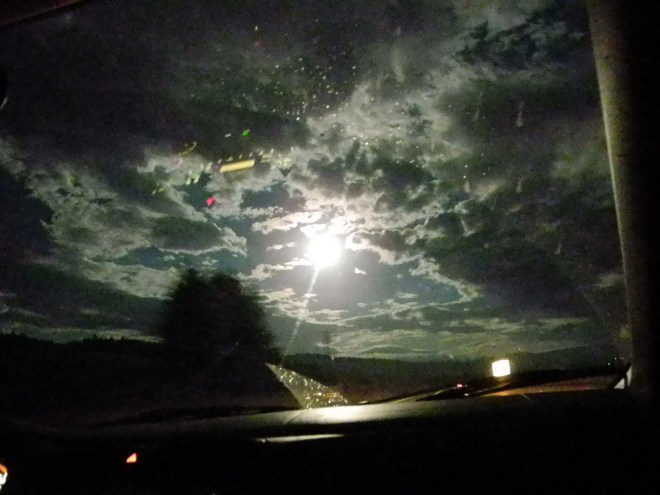 Alberta, June '15 (86)