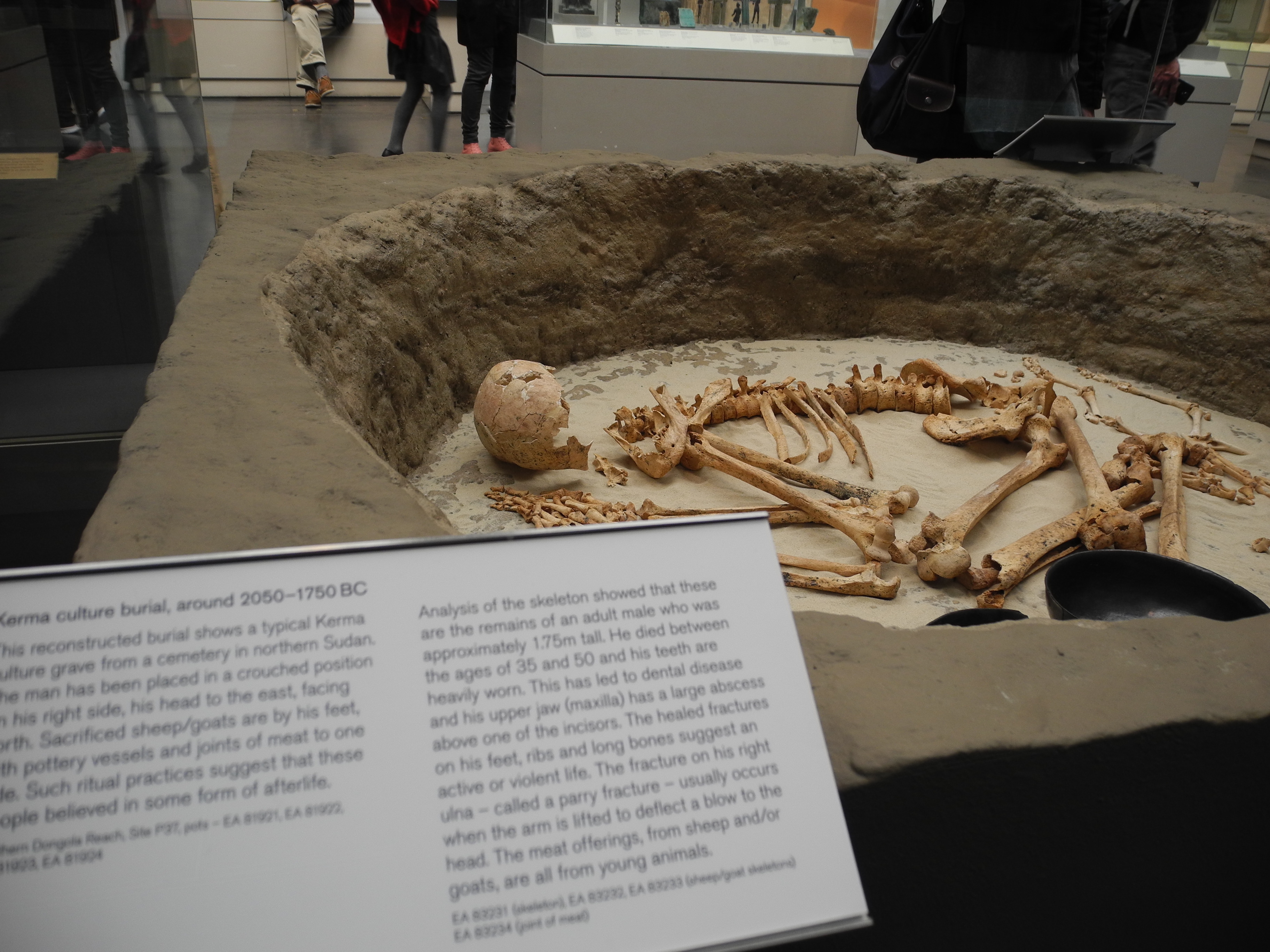 DSCN8491.JPG