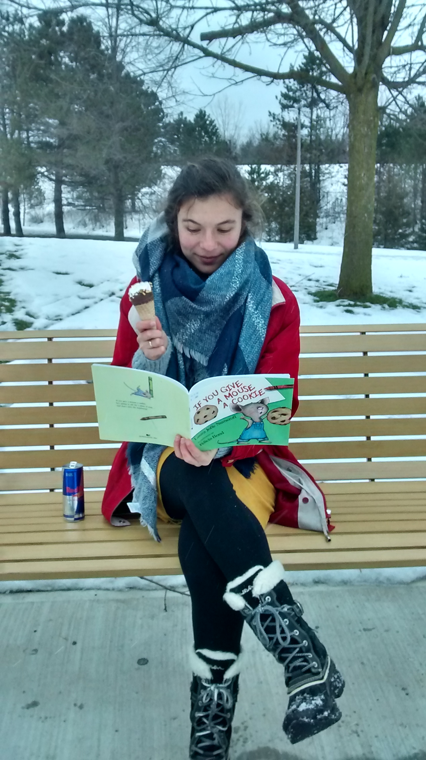 img_20161227_141234512_hdr